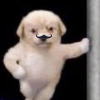 ตำรวจหมาผู้พิทักษ์ความถูกต้องดุจนางฟ้านางสวรรค์