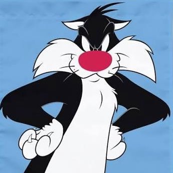 سلفستر | sylvester 🎭