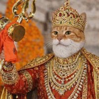 पाटील बोक्या (ब्लू टिक)