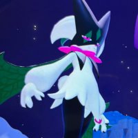 mup☀️🐦‍🔥