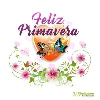 Juan José Coronado C