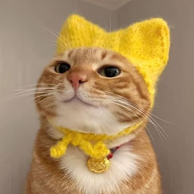 ☀️Frühlingskadse🌿