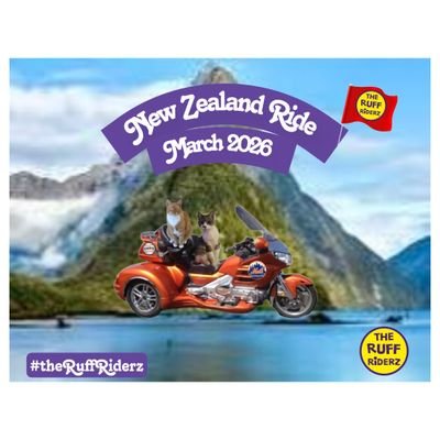 LT. Oyster Shuck😸 & LT. Pizzelle Puck🐶