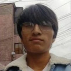 Chilindio feo aborrigen 🇨🇱 defiende bolizolanos