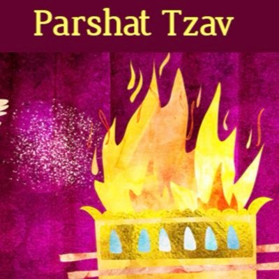 Natasha N. (R.I.S.) Dandekar