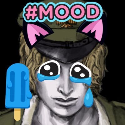 ⊹ ˖ ࣪ char ♡'s pav 🫀