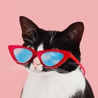 여애머 ⁷ ft. ୧૮･ｪ･ა୨✨️