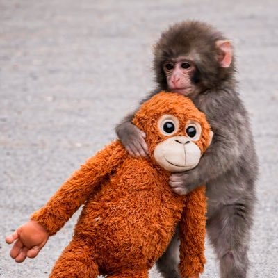 โซโซMUSTAF๐ธ๐ณ๐ต๐ธ๐จ๐ฉ๐ฎ๐ทยฉ