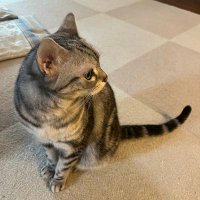 小林悠太郎@4/12花見