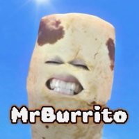 Mr.Burrito