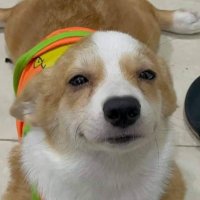 it's hi 🎃 《 ARP 》 #หาทำGang