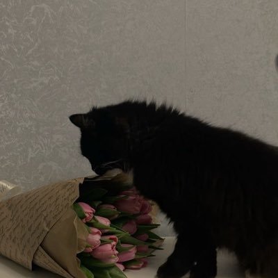 𝐋𝐦𝐬𝐲𝐧🇲🇦🤍