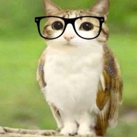 anime girl feet | IBAA BIRTH