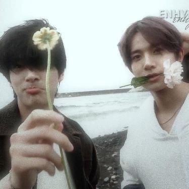 polaris ENHYPEN IS 7 ݁ ˖Ი𐑼⋆