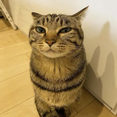 Info Crypto\Web3 by Denys