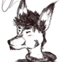 Ozempic 🔜 BWK, FLA