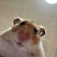 いままでありがとうございました