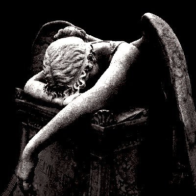 Bunny • edtwt | shtwt