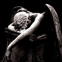 Bunny • edtwt | shtwt