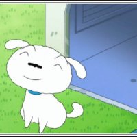 흰둥이_대리예매