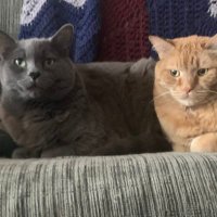 Greg Johansen🇺🇦🇨🇦🏳️‍🌈🇵🇸🎾