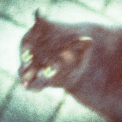 코카콜라는355ml