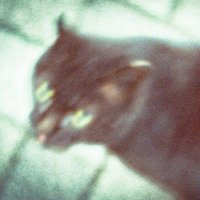 코카콜라는355ml