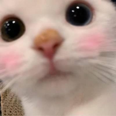 🌸 K R I S L Y N 🌸