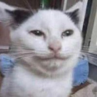 🇲🇽 Brecha Sísmica de Tehuantepec (8.0 - 8.7 Mw).