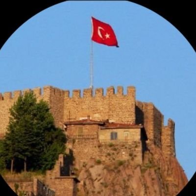 🇹🇷 Erdil 🐺 MUSTAFA 🐺 Bozkurt 🇹🇷