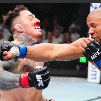 belgololonzo🏴‍☠️