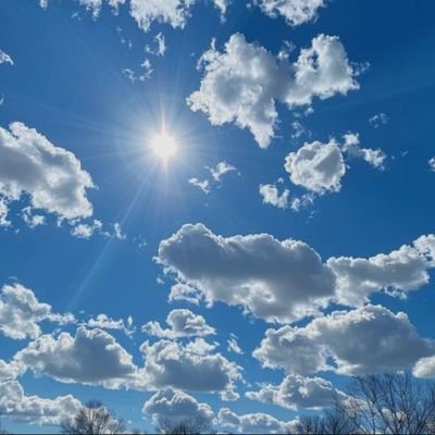 Opinionated Citizen🏴‍☠️ 🚜