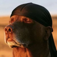 FadilouEscobar🇸🇳