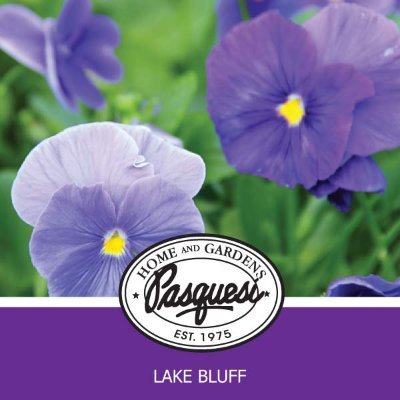 PasquesiHome&Gardens