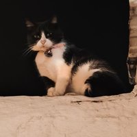 De Córdoba Capital🎵🎶🇦🇷