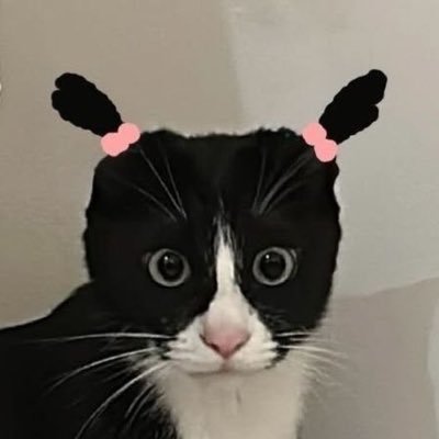 ε 𝗂𝗆𝗒 🥯