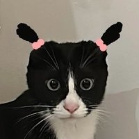 ε 𝗂𝗆𝗒 🥯