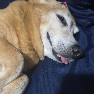 Ansiedade Máxima🧙