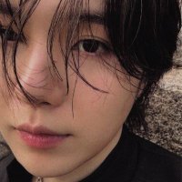 cat with arirang 🪭