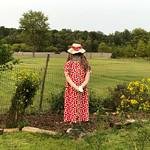 柚羽ちゃん＠森好き( ⑉¯ ꇴ ¯⑉ )