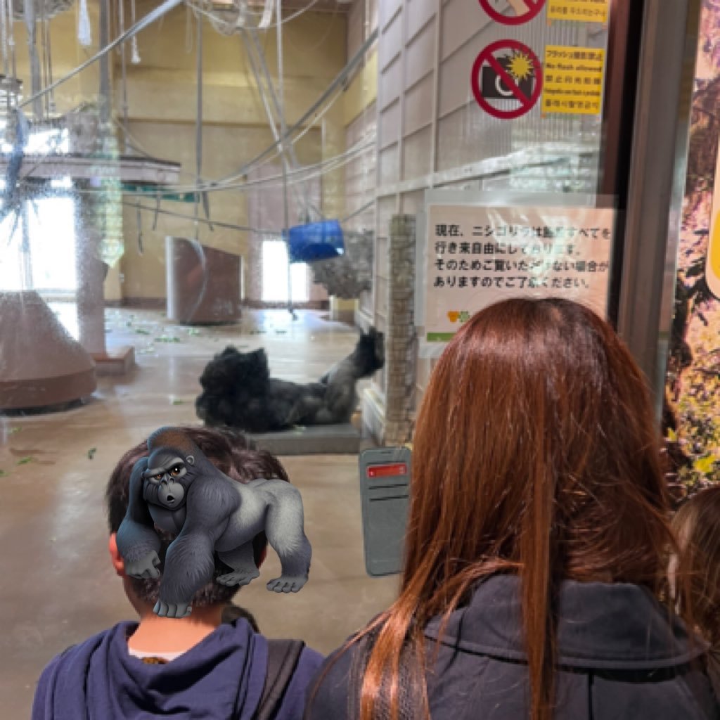 ∠ゴリまゆエンジェル👼🦍🐉4/12 兵庫