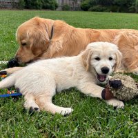 Arlo and Alfie from Oz