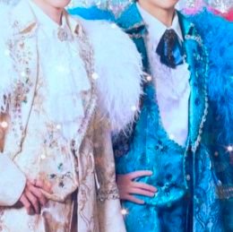 ねこまっしぐら