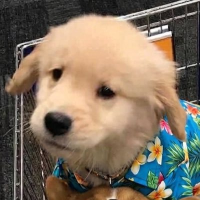 🌱 chouชน์ 🌵