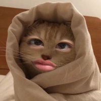 Mînyà 𖾕𖾝꙼ᩚ𛲕𖾟