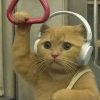 🇵🇸 🇵🇰پرنس آف ڈھمپ