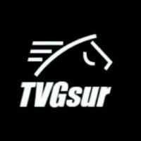TVG SUR
