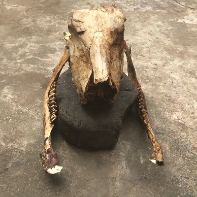 Ori Ade, Oba Idan the O Jiggy Jiggy.