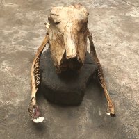 Ori Ade, Oba Idan the O Jiggy Jiggy.