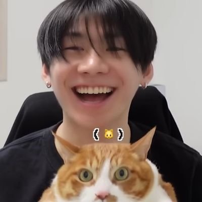 ⊹ ࣪ ˖𝓷𝔂𝔁𝔁🐸🔎 | 🧀࿔*❆ ₊⋆